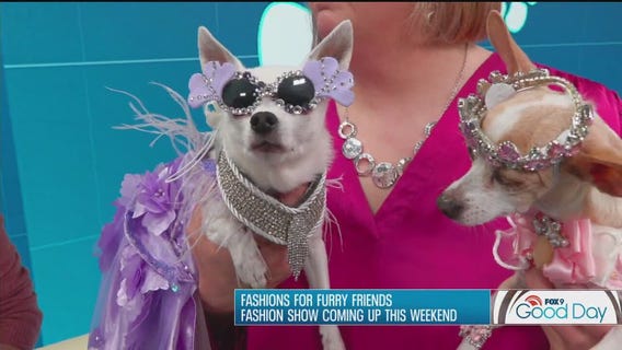 FOX 9 Good Day: March 7, 2025