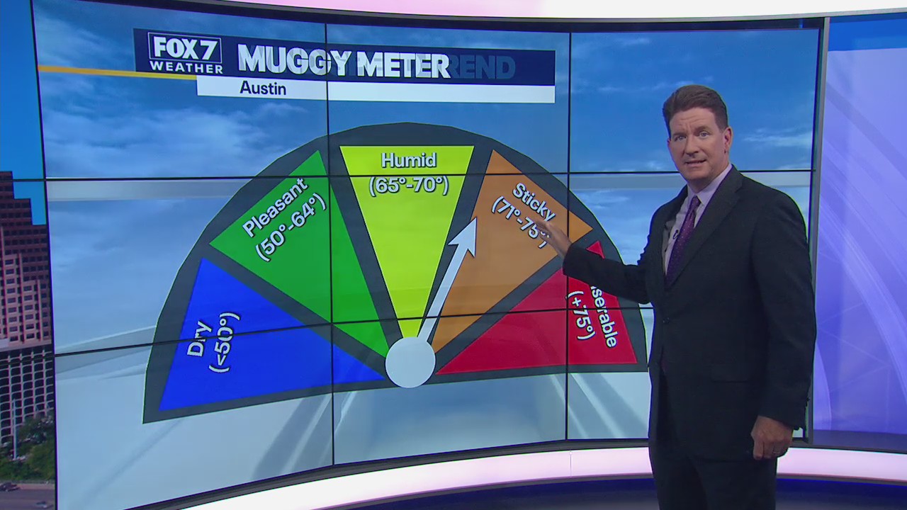 Hot afternoon with humidity but morning will be cooler