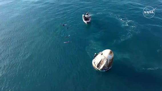 Dolphins swim around NASA's SpaceX Crew-9 landing