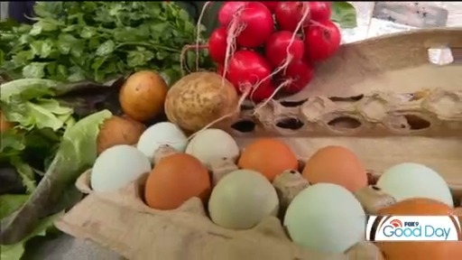 FOX 9 Good Day: March 18, 2025