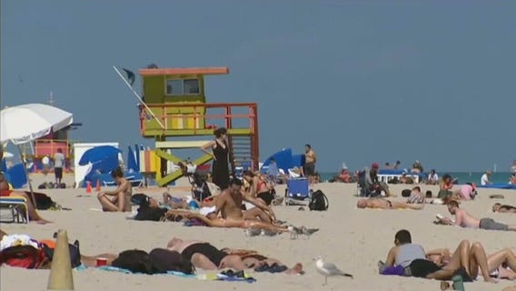 Dengue fever spreads in spring break locations