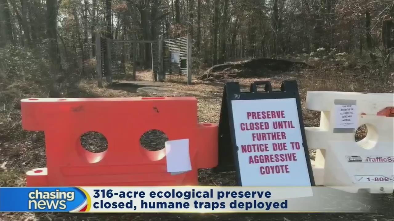 2nd coyote attack at Rutgers has community on alert