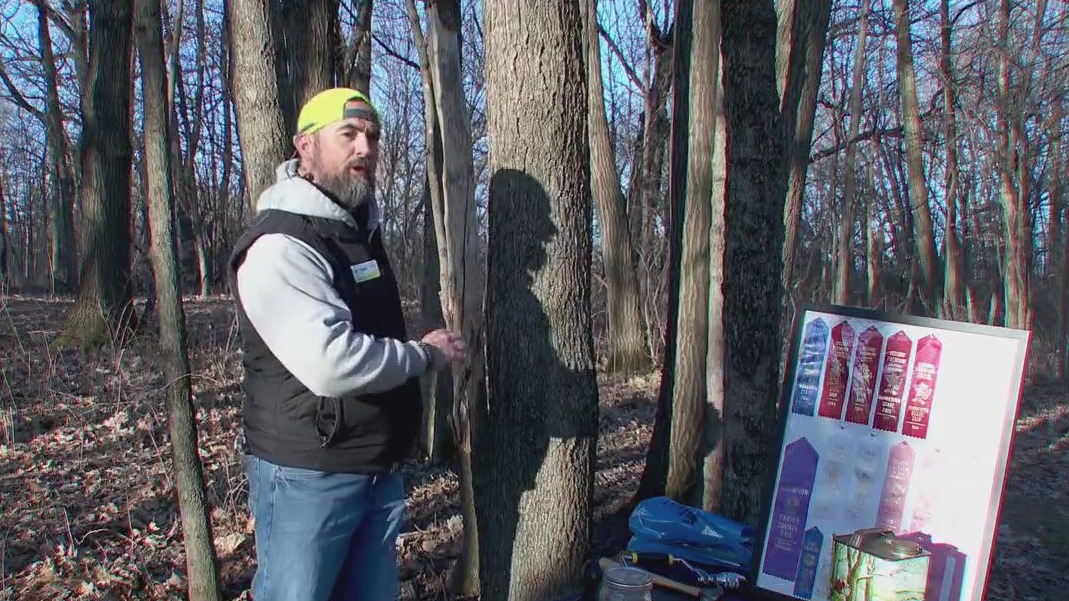 Lowry Maple Syrup Festival begins Saturday