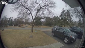 Airplane seen falling ahead of crash [RAW]