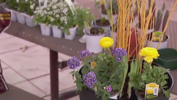 Tips for cold-weather spring planters