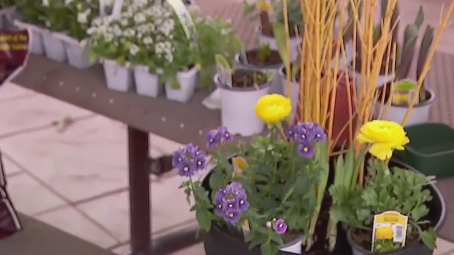 Tips for cold-weather spring planters