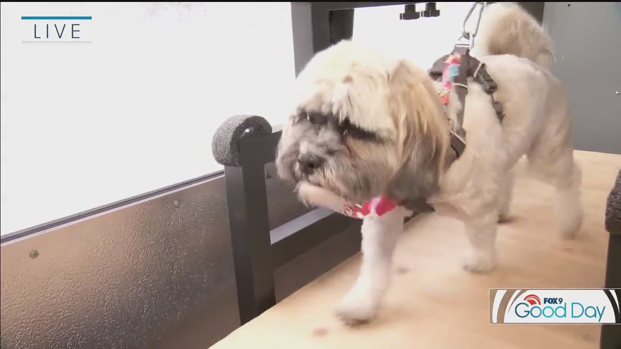 FOX 9 Good Day: April 2, 2025