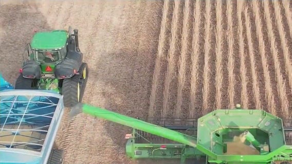 Trade war could have impact on MN farmers