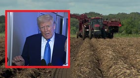Trade war: Farmers worried about fallout