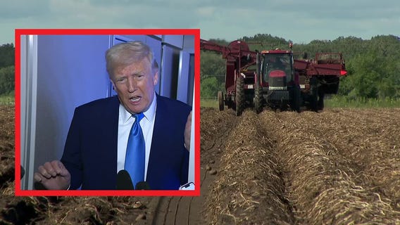 Trade war: Farmers worried about fallout