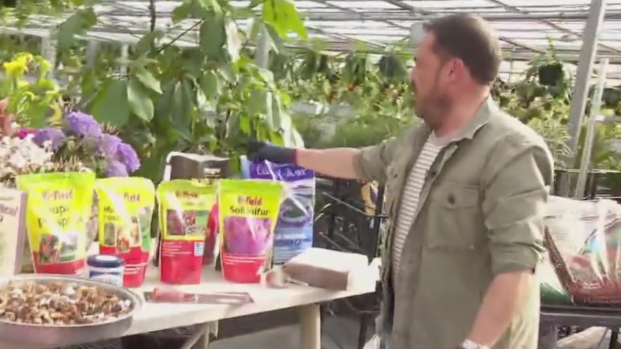 What's the difference between dirt and soil?