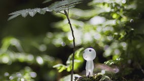 Toy photographer captures collectibles in works of art