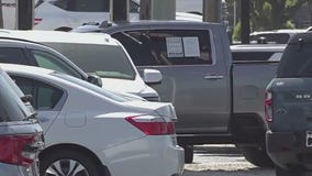 Trump tariffs: President considers pause