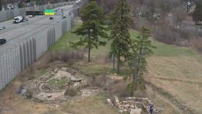 Historic rock garden vandalized in St. Louis Park