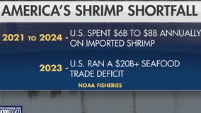 How Trump's tariffs could impact shrimp industry