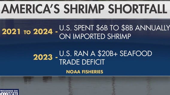 How Trump's tariffs could impact shrimp industry