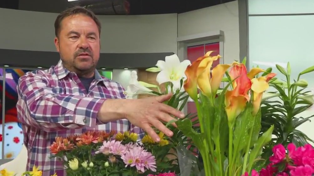 Perfect flowers for Easter