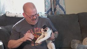 Kitten found after fire adopted by rescuer