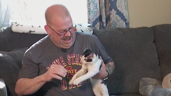 Kitten found after fire adopted by rescuer