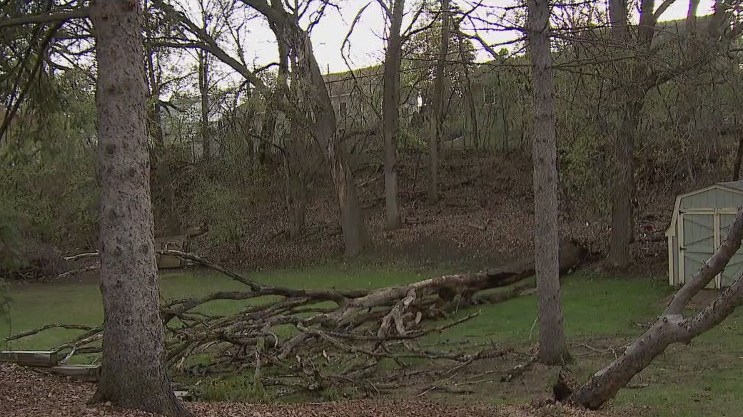 Storms sweep across MN causing damage for some | FOX 9 Minneapolis-St. Paul