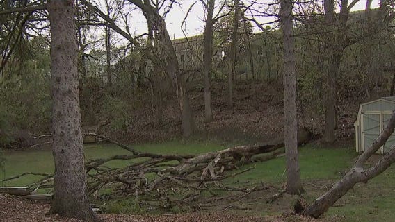 Storms sweep across MN causing damage for some