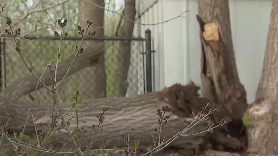 Severe weather across MN brings damage
