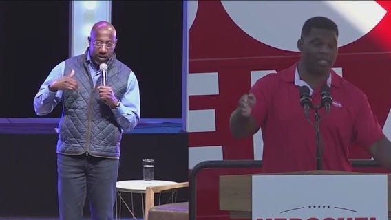 Georgia voters to decide on country's final Senate race