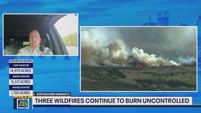 MN wildfires: Sheriff on animals fleeing fires