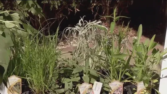 FOX 9 Good Day: May12, 2025