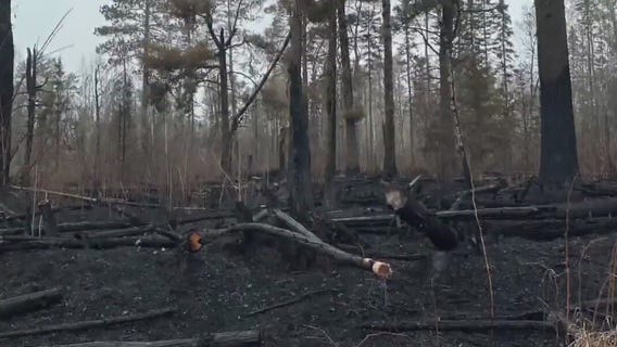 MN wildfires: Cabin owners survey damage