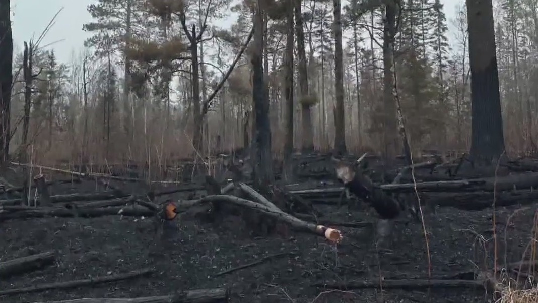 MN wildfires: Cabin owners survey damage