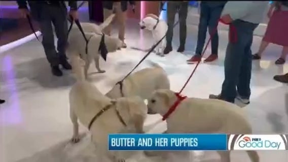 FOX 9 Good Day: May 16, 2025