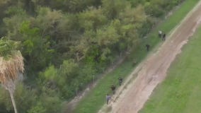 FOX 7 Discussion: Title 42 to remain in place