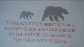 Bears again spotted in Maple Grove