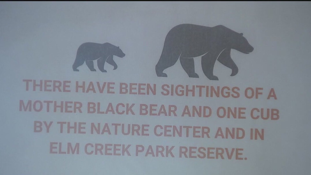 Bears again spotted in Maple Grove