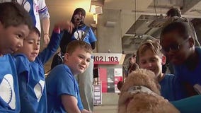 Target Field gives 'practice run' for fans with autism