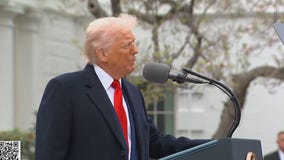 Court overrides Trump's sweeping tariff policy