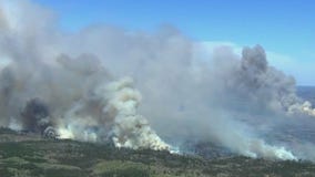 MN pollution control leader explains wildfire smoke