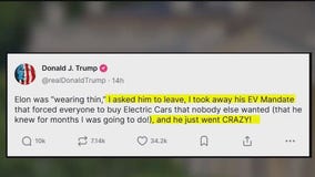 President Trump and Elon Musk social media feud