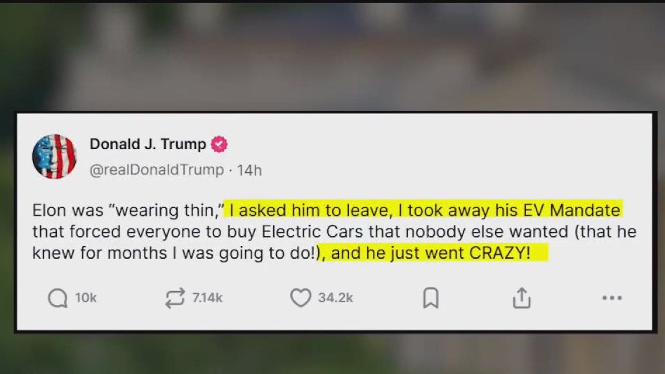 President Trump and Elon Musk social media feud