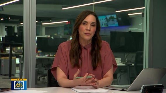 Minneapolis ICE raid rumor analyzed by former senior ICE agent