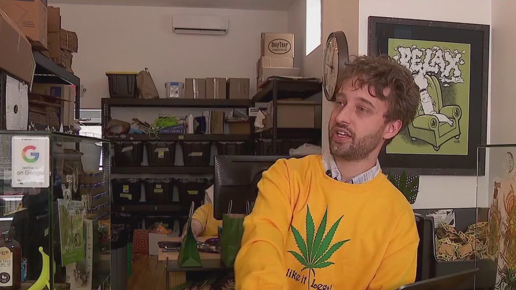 Cannabis and hemp requirements clash