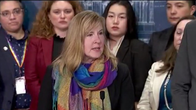 Melissa Hortman, John Hoffman's careers as Minnesota lawmakers