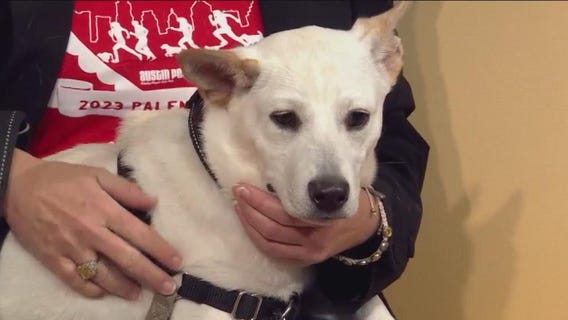 Austin Pets Alive! offering puppygrams for Valentine's Day