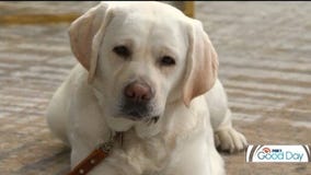 FOX 9 Good Day: June 27, 2025