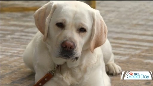 FOX 9 Good Day: June 27, 2025