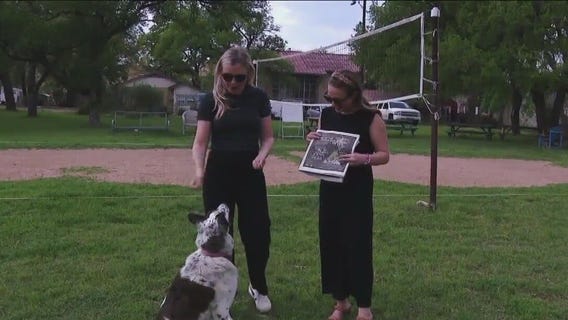 SXSW 2023: Austin Chronicle hosts Three Legged Dog party