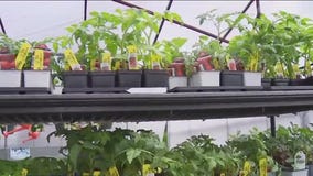 Your Garden: Prepping your garden for the spring season