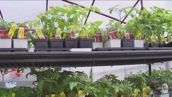 Your Garden: Prepping your garden for the spring season