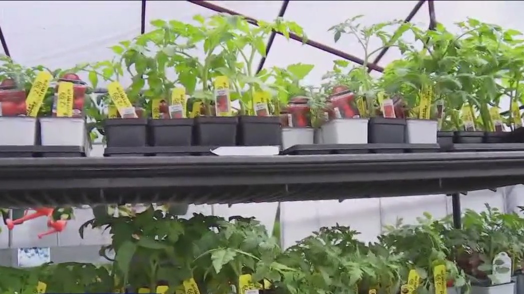 Your Garden: Prepping your garden for the spring season